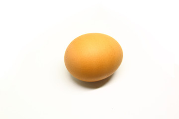 Single brown chicken egg