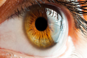 Brown eyes girls close-up in detail