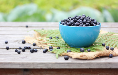 Fototapeta na wymiar Blueberries (bilberry) in a bowl on the table.