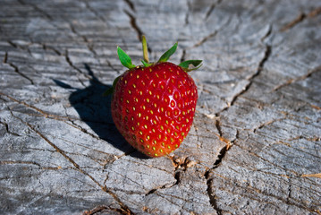 close up of big strawberry on wood