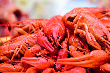 Boiled large crayfish on a platter. Crayfish are red. Delicacy, gourmet food. Selective focus, close-up, copy space.