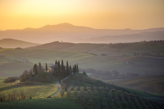 Belvedere at sunrise, San Quirico, Val d'Orcia, Tuscany, Italy