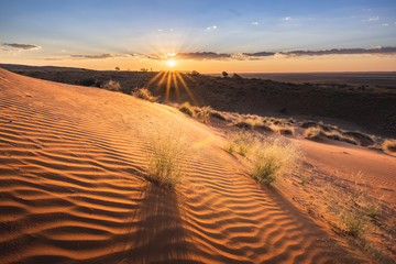 Namib-Naukluft National Park, Namibia, Africa. Ripples of sand on a petrified dune at sunset.