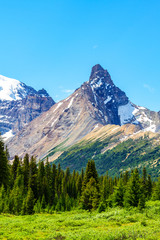 Hilda Peak in the Canadian Rockies at Parker Ridge in Jasper National Park