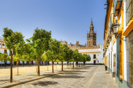 Court of Banderas with the Giralda tower of the Cathedral, UNESCO World Heritage Site, Sevilla, Andalusia, Spain