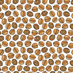 Walnut Seamless Endless Pattern. Whole and Peeled Walnuts. Autumn or Fall Harvest Collection. Realistic Hand Drawn High Quality Vector Illustration. Doodle Style.