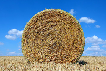 Round bale of straw on a stubble field and blue sky