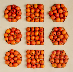  ripe  rowan  isolated on wooden background in geometric forms , autumn colors close-up of mountain ash. 