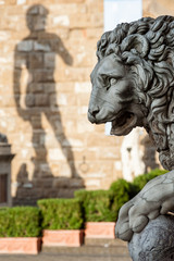 Marble lion (detail) located in the Loggia dei Lanzi of the Piazza della Signoria in Florence, Italy. Blurred shadow of Michelangelo's David in the background.

