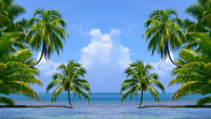 Fototapeta na wymiar Picturesque tropical seascape with palm trees and the endless turquoise sea.