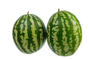 striped watermelon of different size isolated on white background