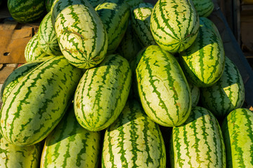 many ripe watermelons on the market counter