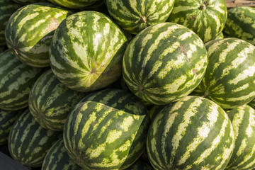 a lot of ripe round watermelons on the store counter