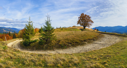 Autumn landscape with a dirt road rising up the hill.