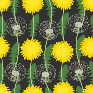 Floral background with dandelions. Seamless pattern with yellow and white flowers, and green leaves. Vector illustration