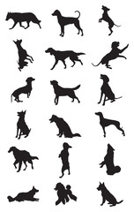 Vector dogs breeds silhouettes