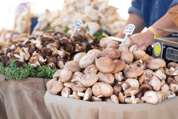 Mushrooms piled up for sale at a farmers market