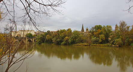 Puente de piedra, Logroño, España