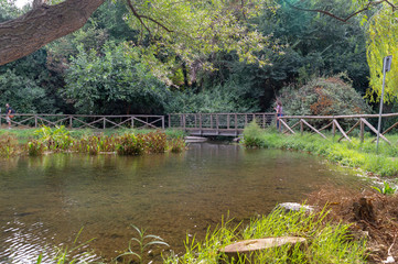 Fototapeta na wymiar A wooden bridge on a lake