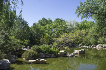 Obraz premium Pond and Bridge