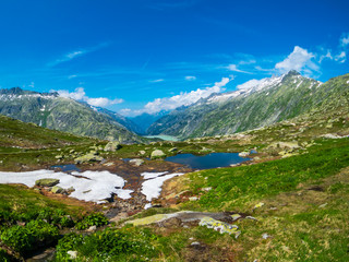 Fototapeta na wymiar Summer landscape of Switzerland nature at Grimsel pass
