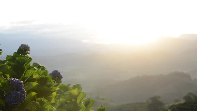 Por do sol