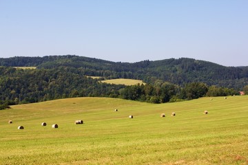 Straw bales on a meadow in summer, rural background, texture of dry grass straw.