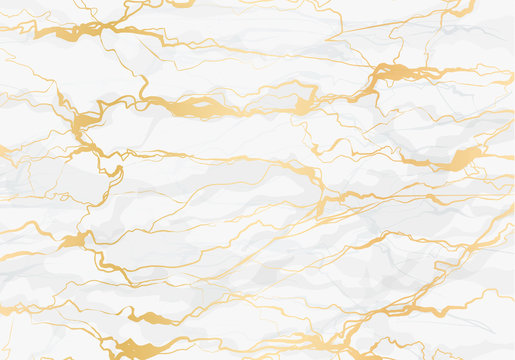 Marble and golden line vector art texture background  illustration