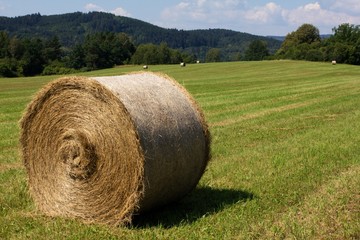 Straw bales on a meadow in summer, rural background, texture of dry grass straw.
