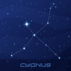 Obraz na płótnie Canvas Constellation Cygnus, Swan, night star sky