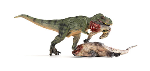 tyrannosaurus biting a dinosaur body on white background
