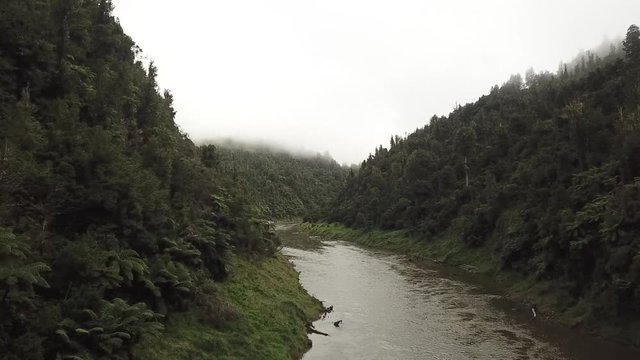 Misty morning gorge, Whanganui River
