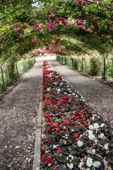 the red rose tunnel
