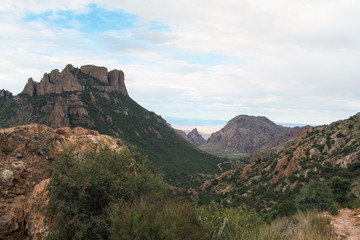 South Texas landscape