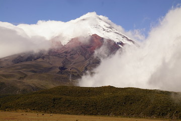 Cotopaxi Volcano Ecuador