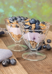 fresh blueberry yogurt 