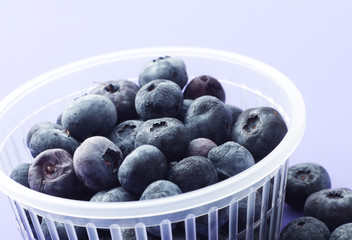 ブルーベリー