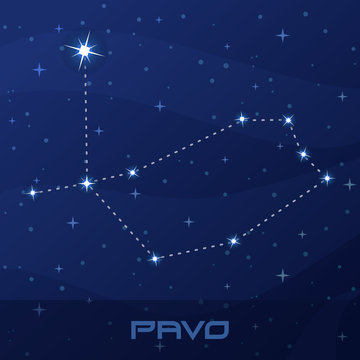 Constellation Pavo, Peacock, night star sky © ahninniah