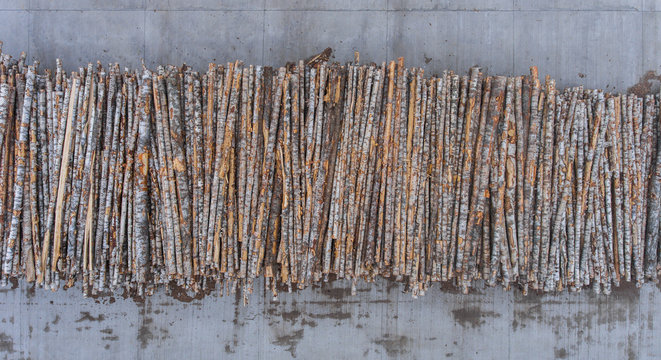 A lot of birch tree trunks are stacked