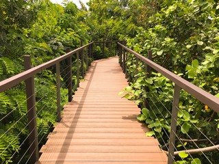 Wooden bridge into forest