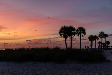 Fototapeta na wymiar Sunset Over the Gulf of Mexico
