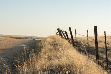 Rural landscape of grass and fence