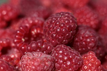 juicy red raspberry