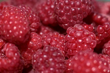 juicy red raspberry