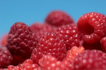 juicy red raspberry
