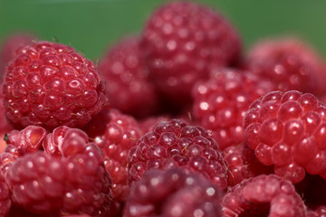 raspberry red close-up