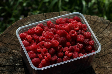 juicy red raspberry