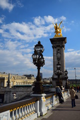 Fototapeta na wymiar The famous Pont Alexandre III over the Seine in Paris