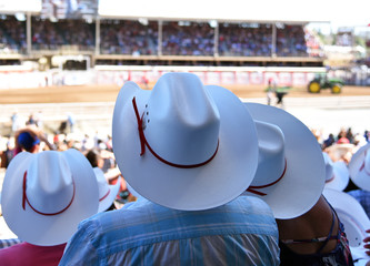 Cowboy hats at rodeo - obrazy, fototapety, plakaty