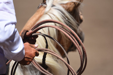 Cowboy with rope in hands